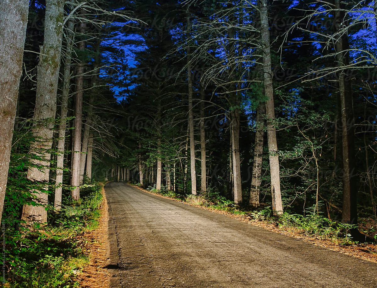 Spooky Creepy Rural Road in woods at night  New Hampshire