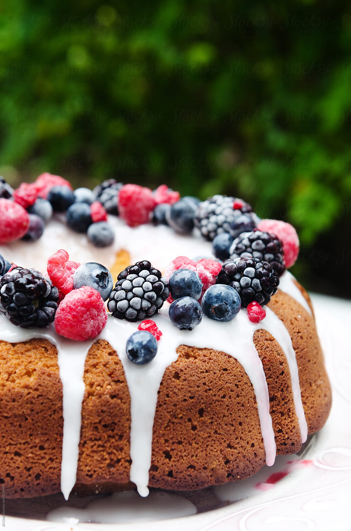 Gourmet dessert cake with berries