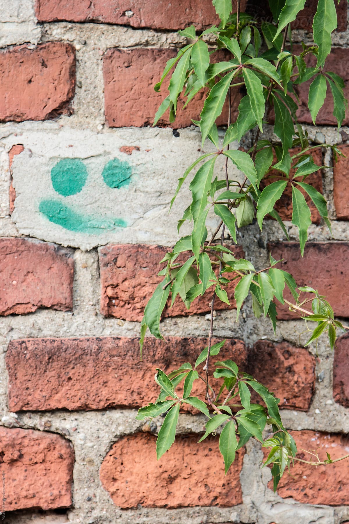 Smiley face sprayed on brickwall with vines