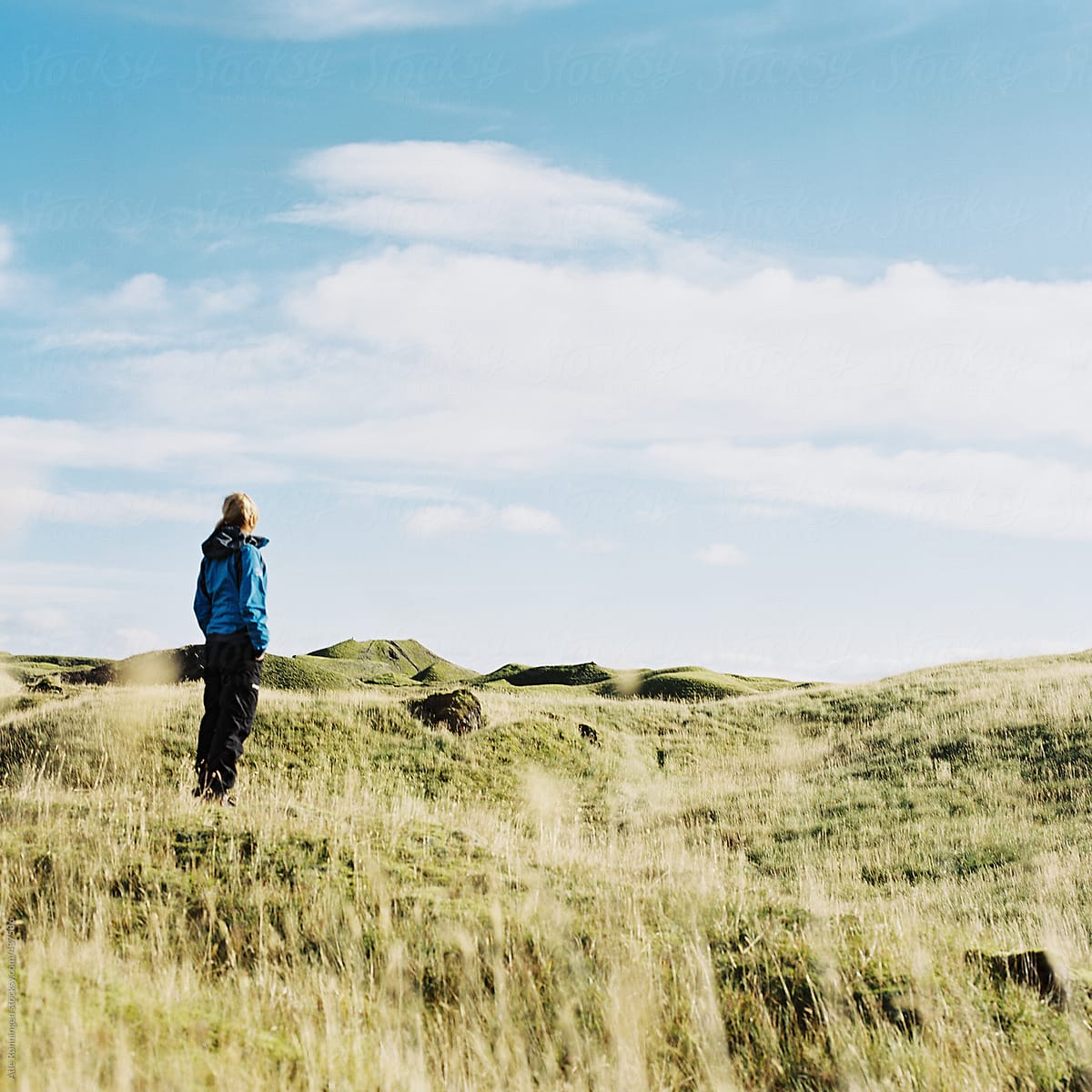 Young woman in blue outdoor jacket scouting the Icelandic landscape