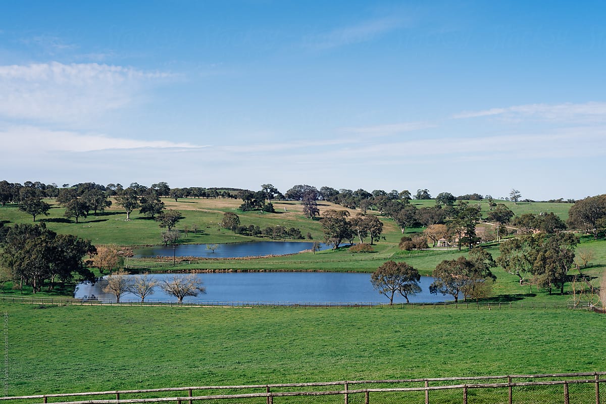 farm scene with full dams and green paddocks