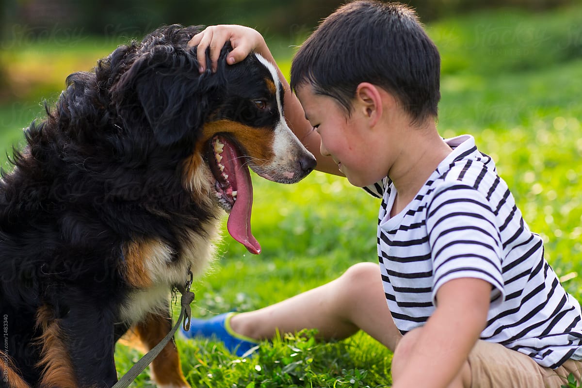 Lovely little asian boy having fun with his dog
