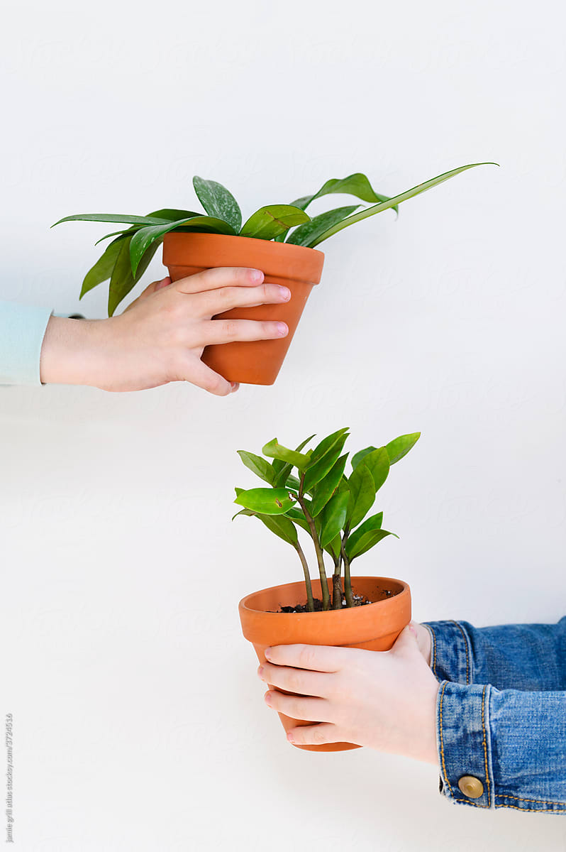 Children Holding Two Green Plants