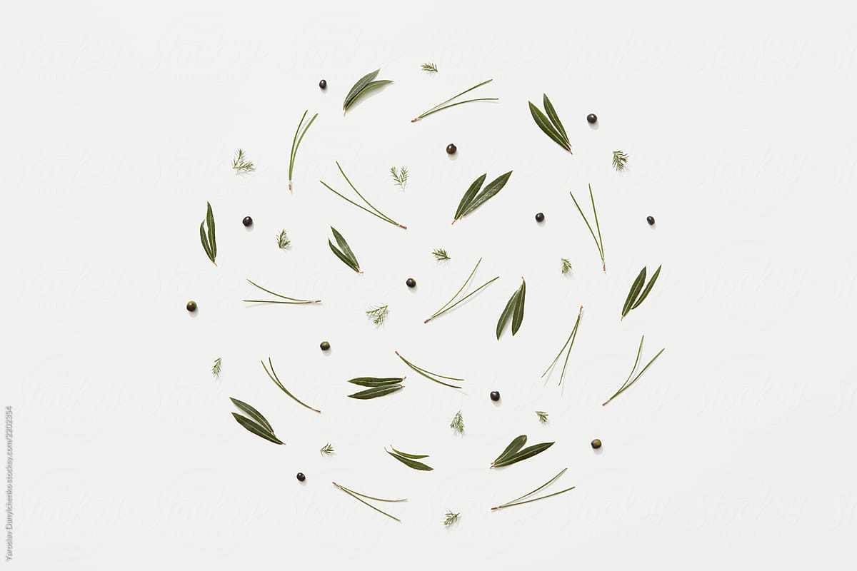 Natural pattern of small green leaves and berries on a white background with copy space. Flat lay