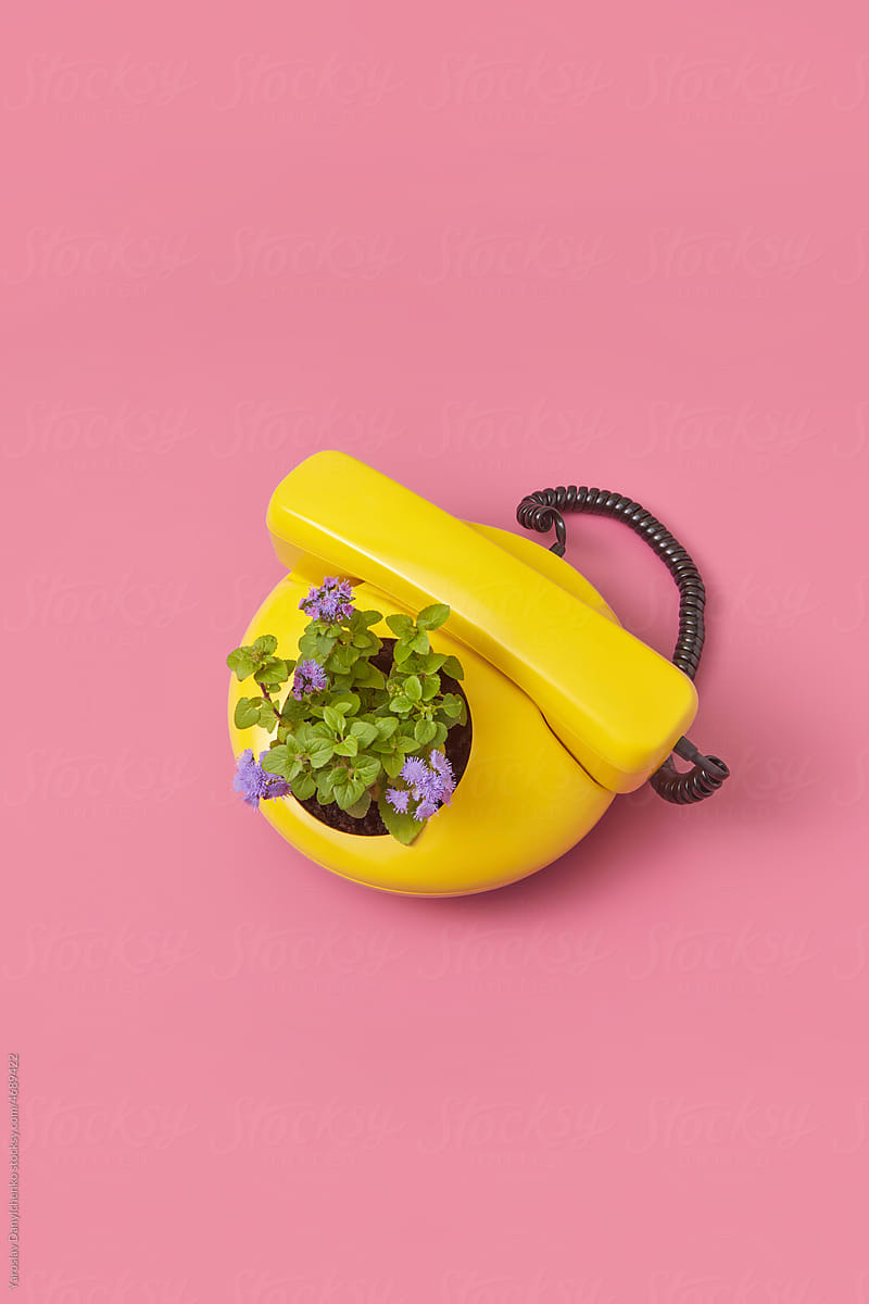 Retro telephone with flowering dial
