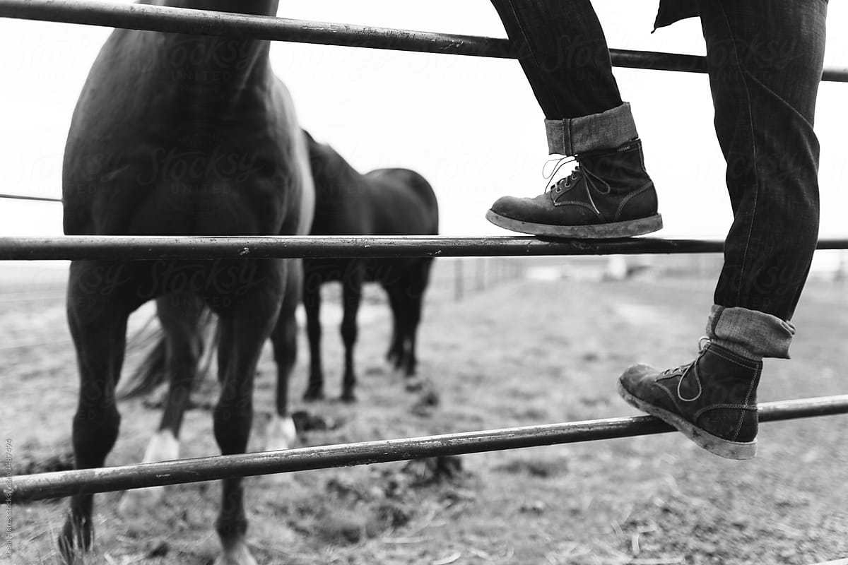 Man Standing on Metal Fence of Horse Pen
