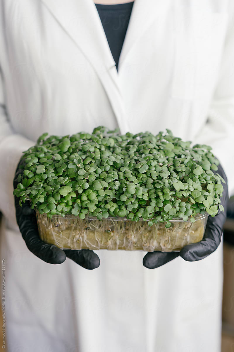 A woman holds trays with microgreens in her hands.