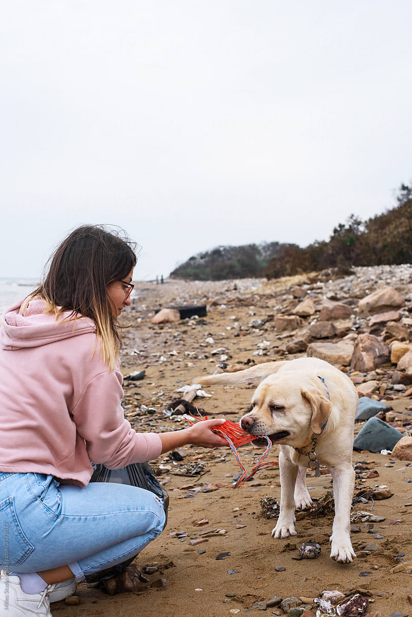 Woman and dog cleaning coast from trash