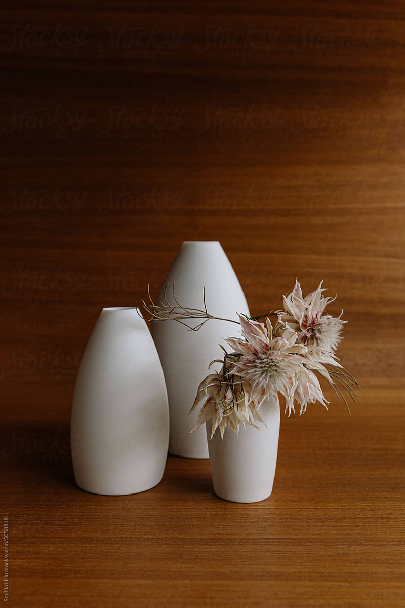 MInimalist ceramic vases with dried flowers