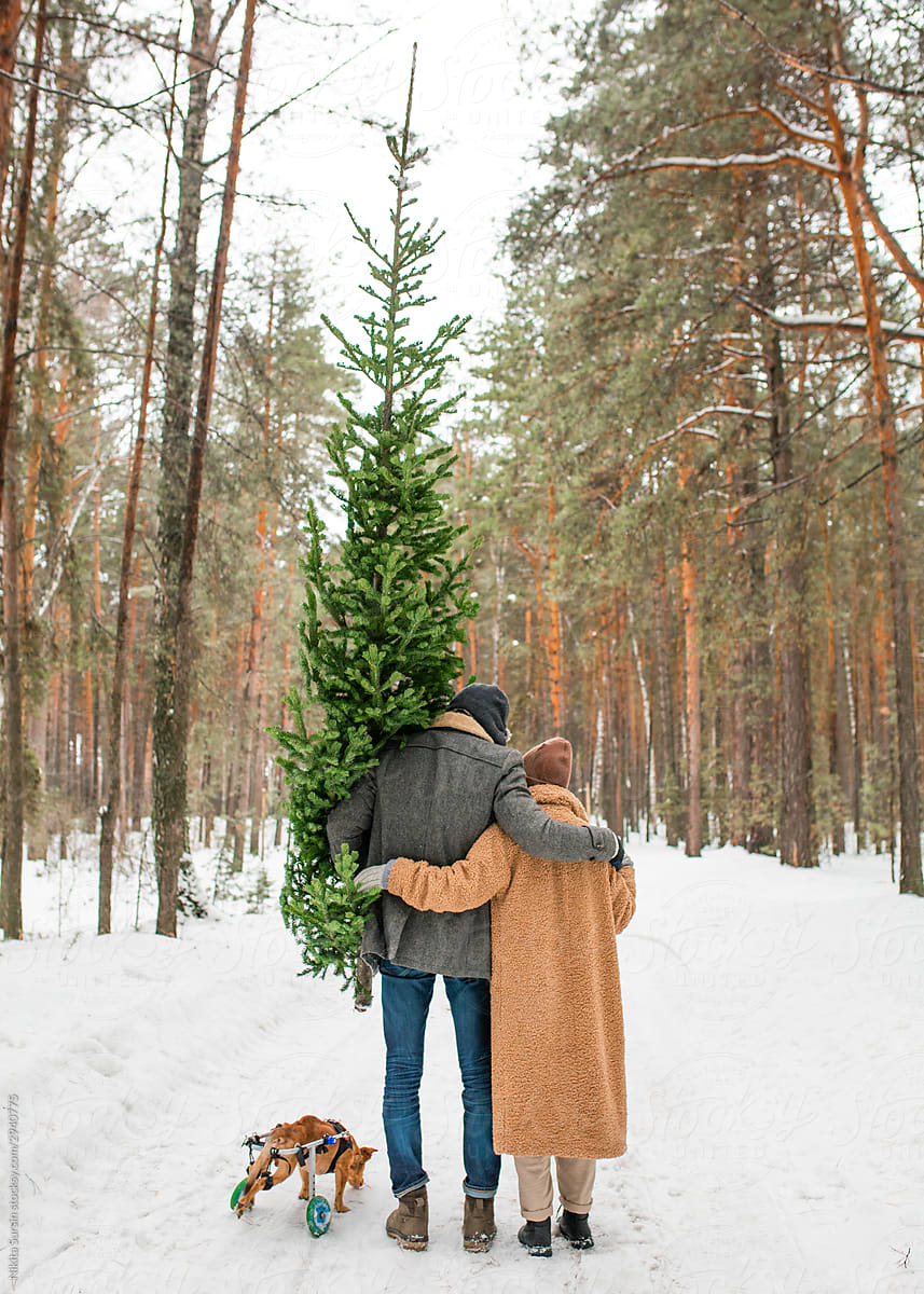 anonymous couple of young people stands in the forest in winter with a christmas tree
