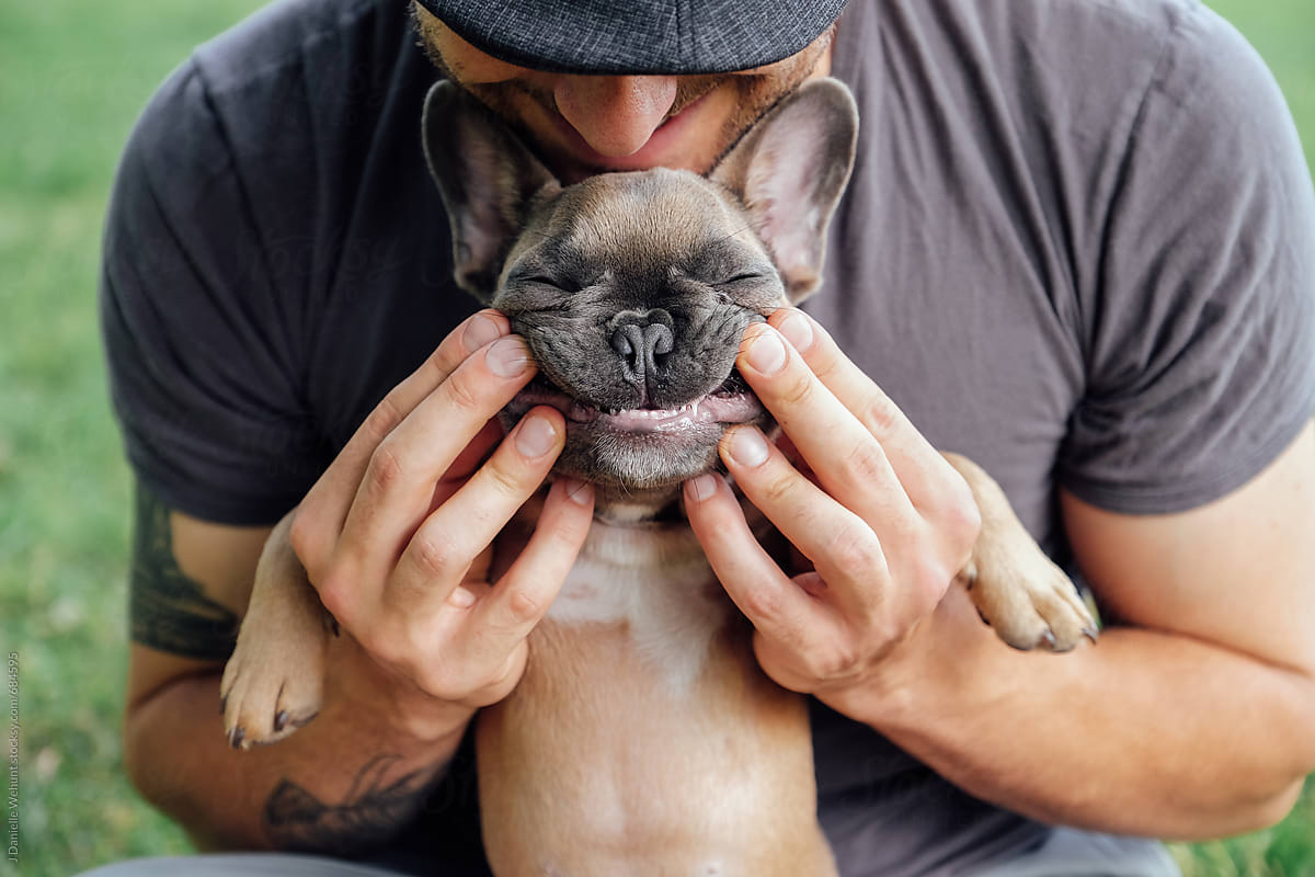 A french bulldog puppy smiling while a caucasian man holds him.