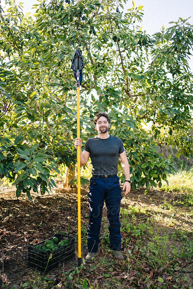 Gardener with box and fruit picker standing in farm