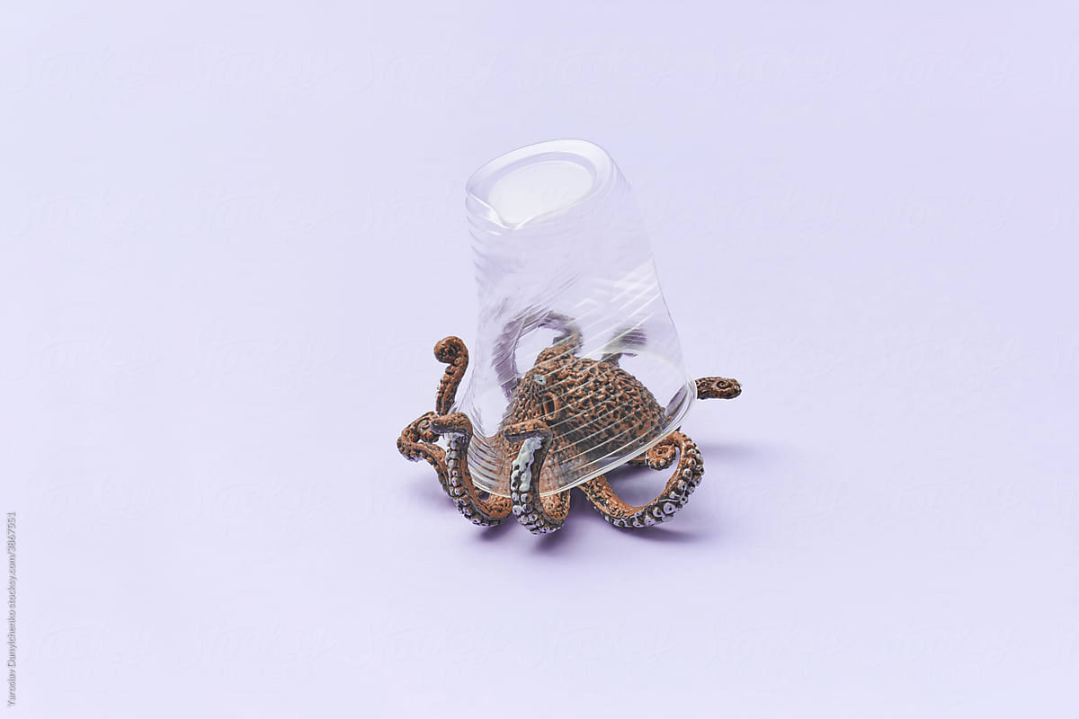 Toy octopus under transparent plastic glass