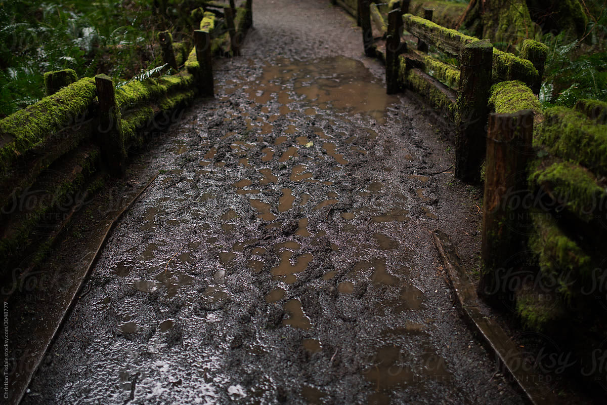 Walking on a muddy trail on a rainy day
