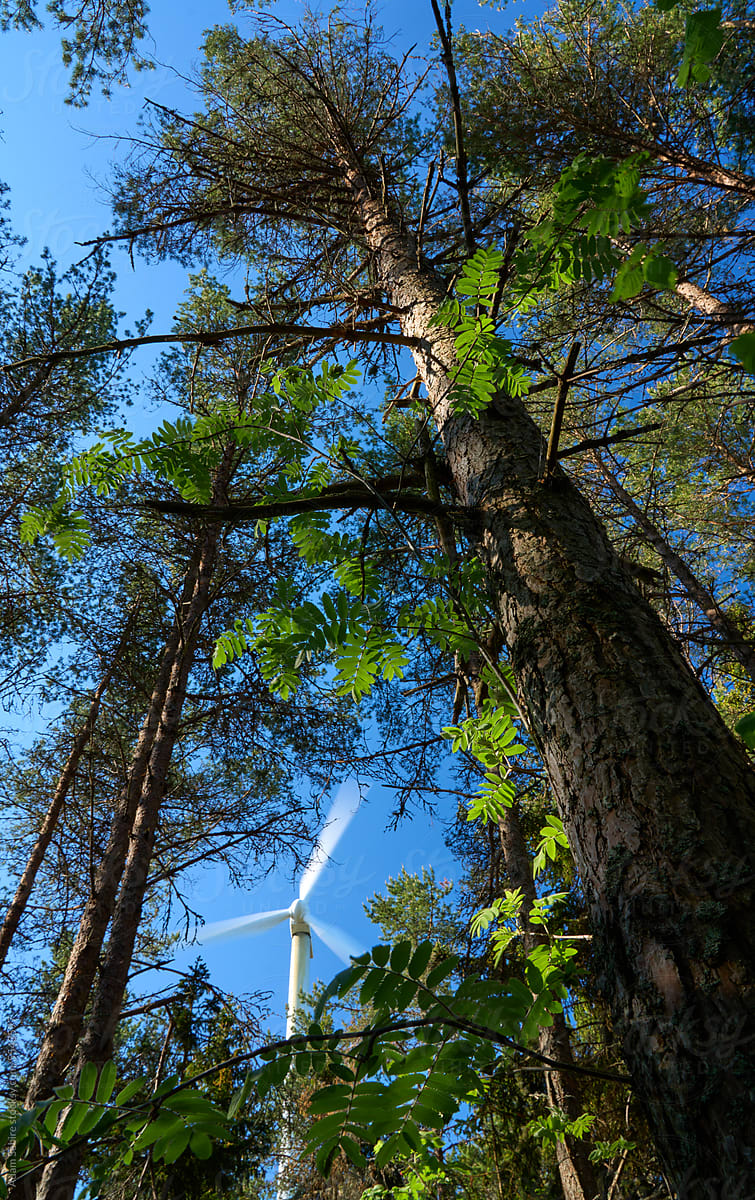 Wind turbine in green forest environment - tall trees and wind energy
