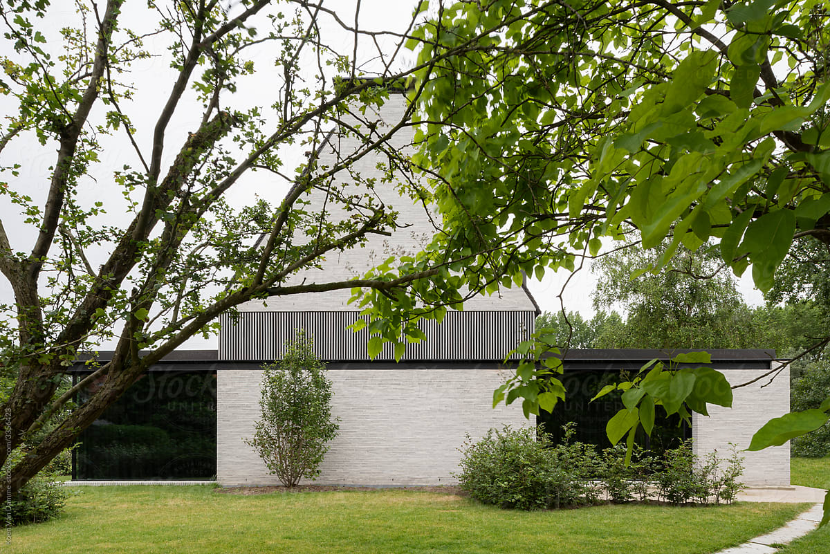 garden and minimalist house