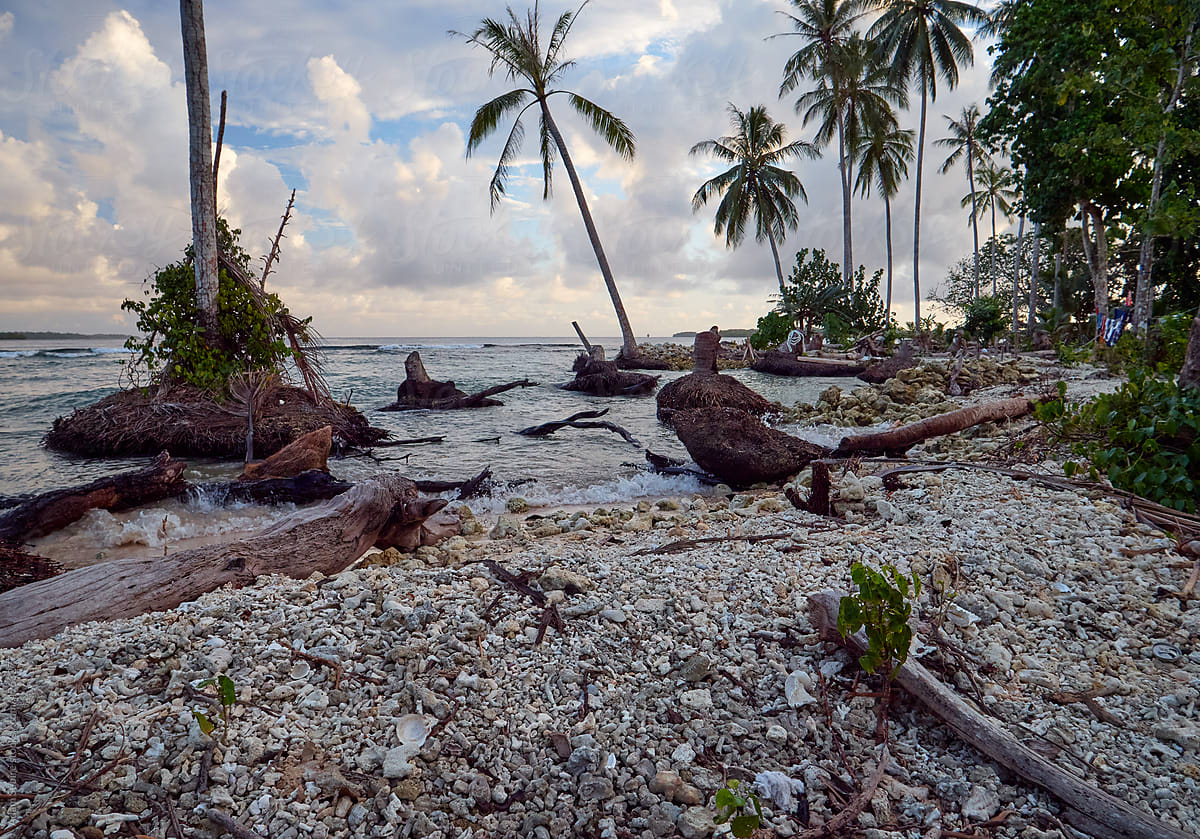Sea level rise, sea wall made from dead coral, Wagina, Solomon Islands