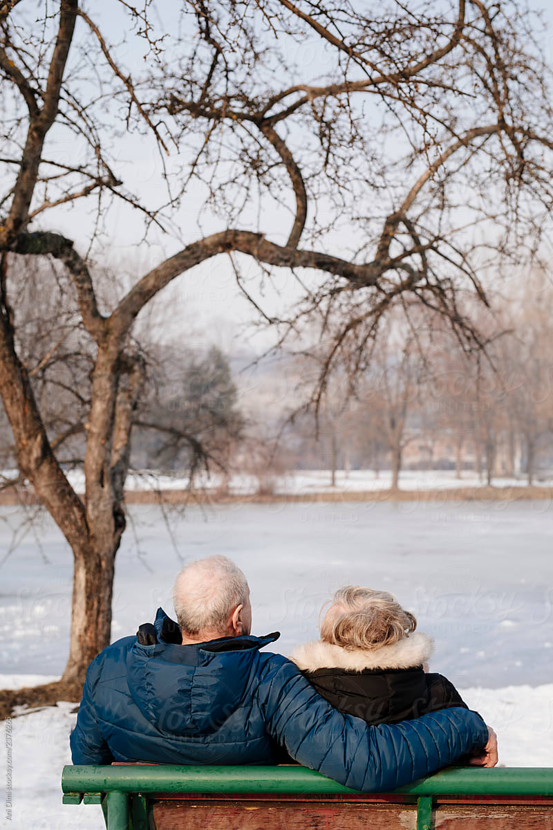 Back View Of An Elderly Couple on Bench