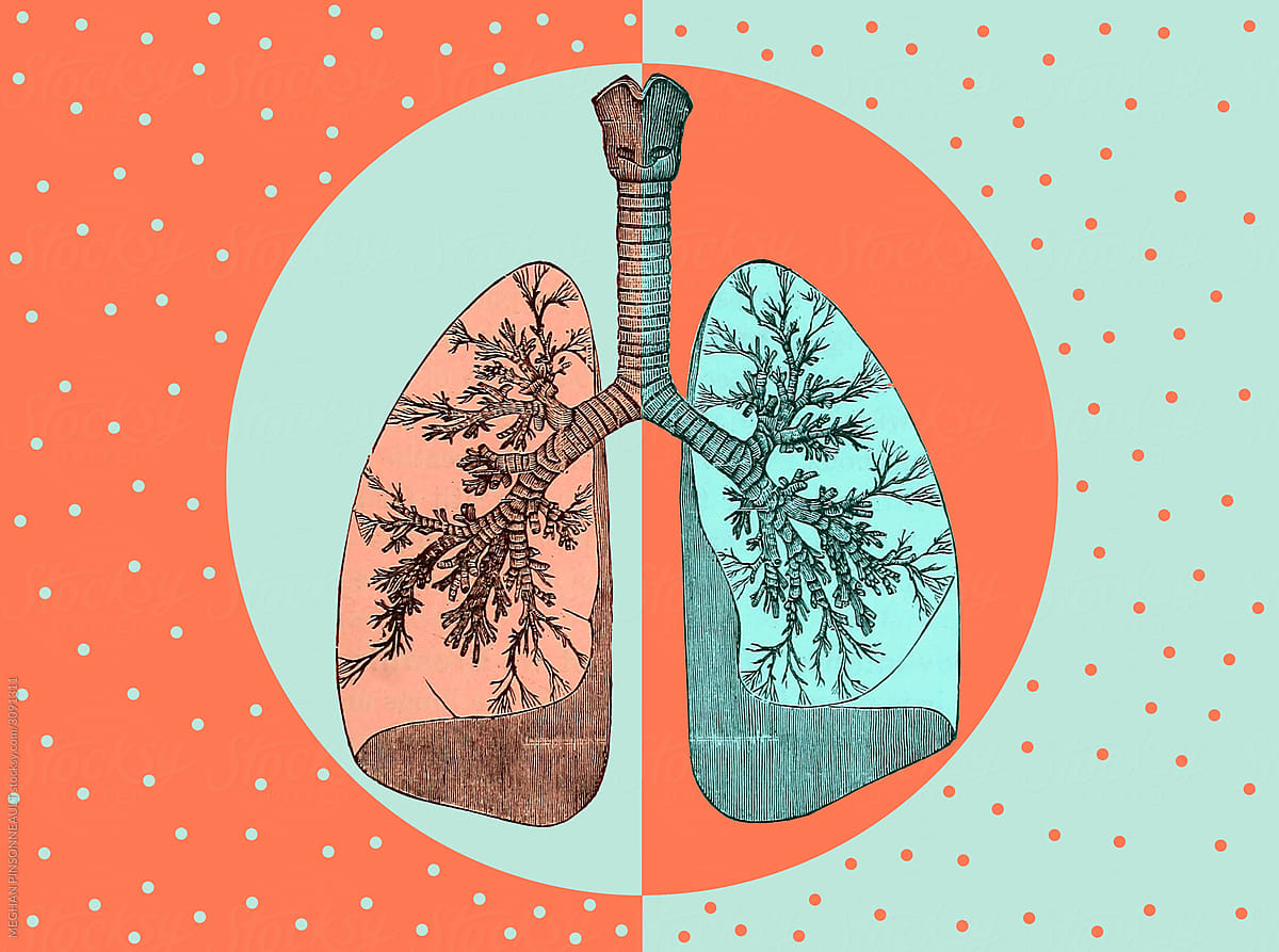 Mixed Media Collage with Lungs