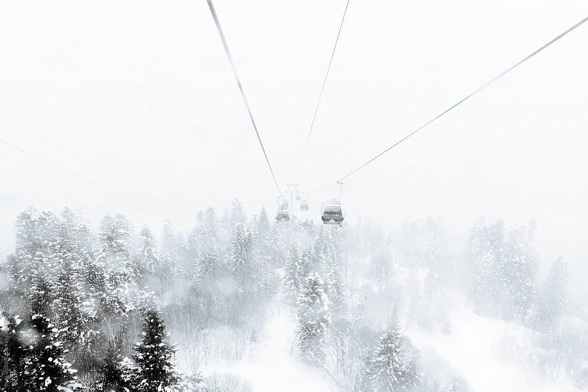 Cable cars over snowy forest