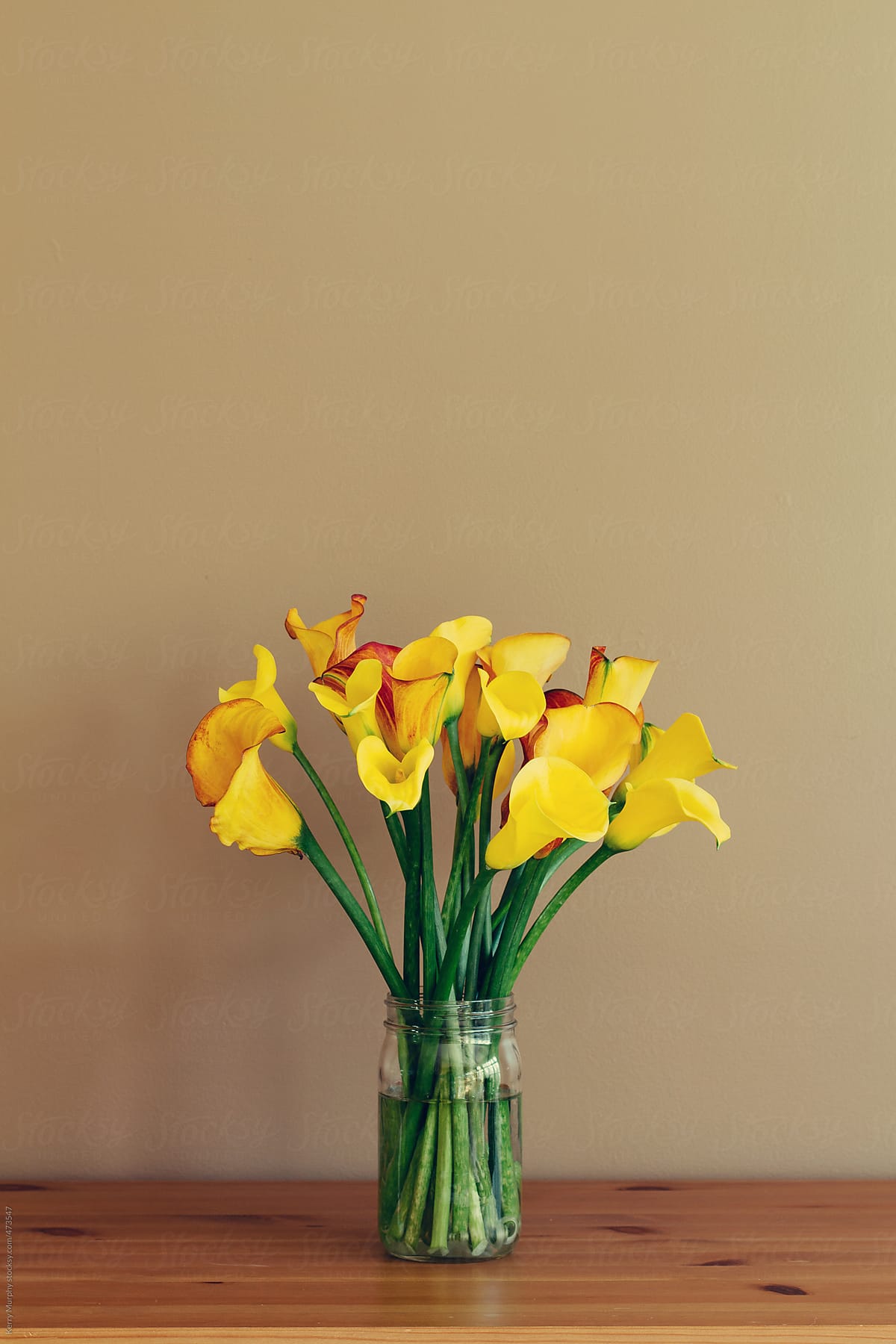 Yellow calla lilies in glass jar on wooden table