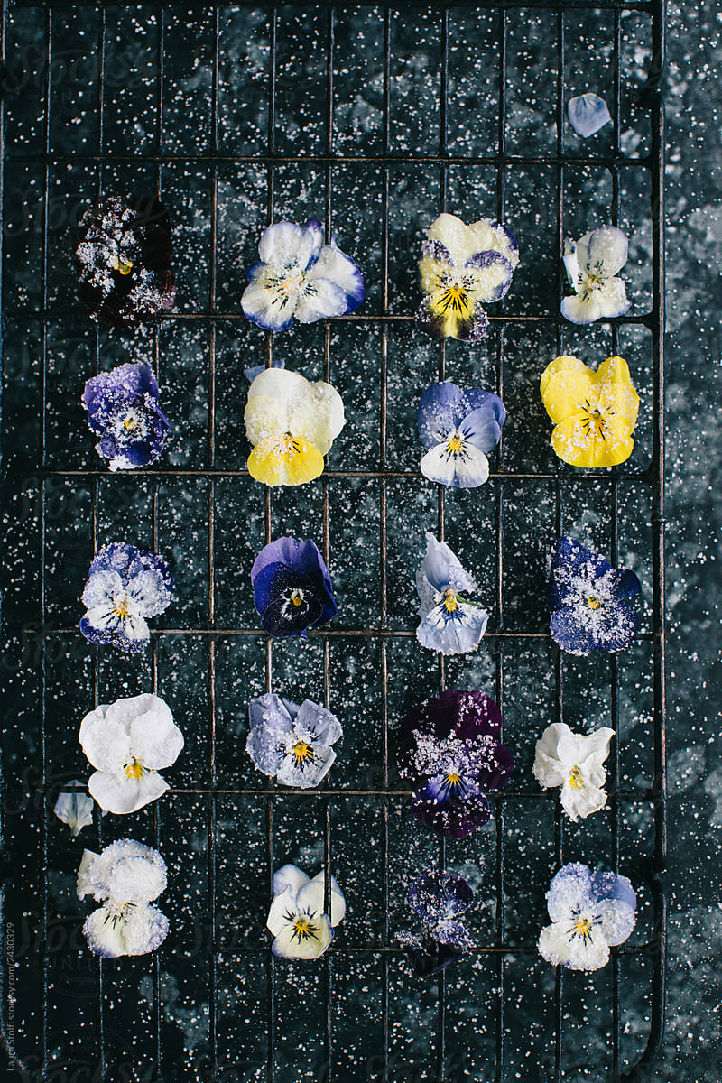 Crystalized flowers resting on rack waiting to dry in order to fasten the sugar on them
