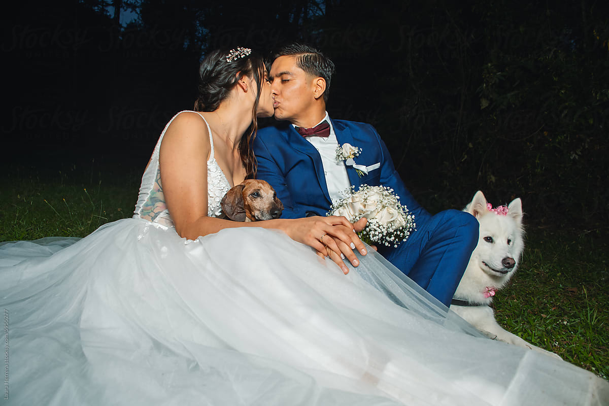 Newlyweds kissing with Samoyed and Dachshund Ring Bearers next to them