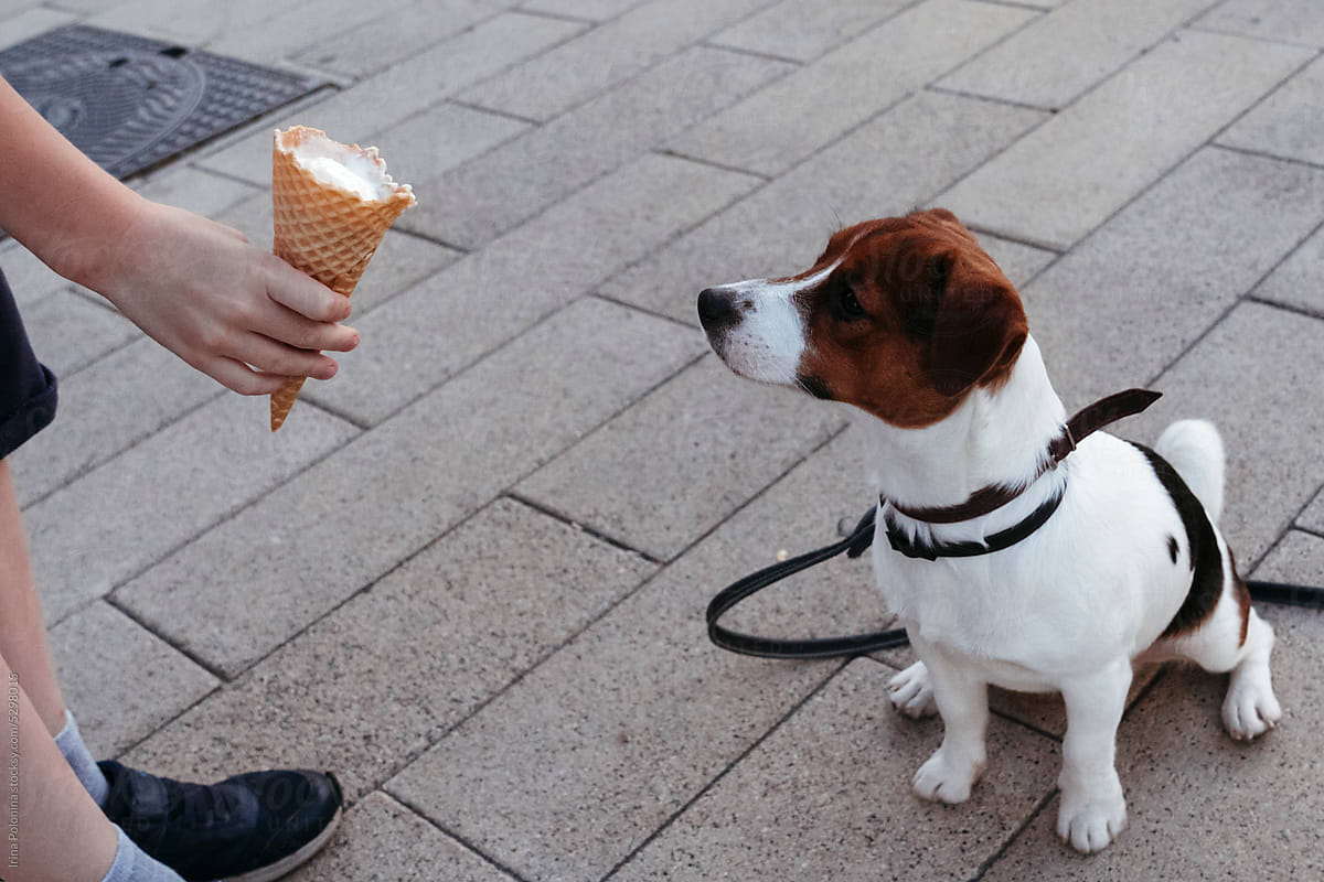 Faceless kid invites dog to try ice cream.