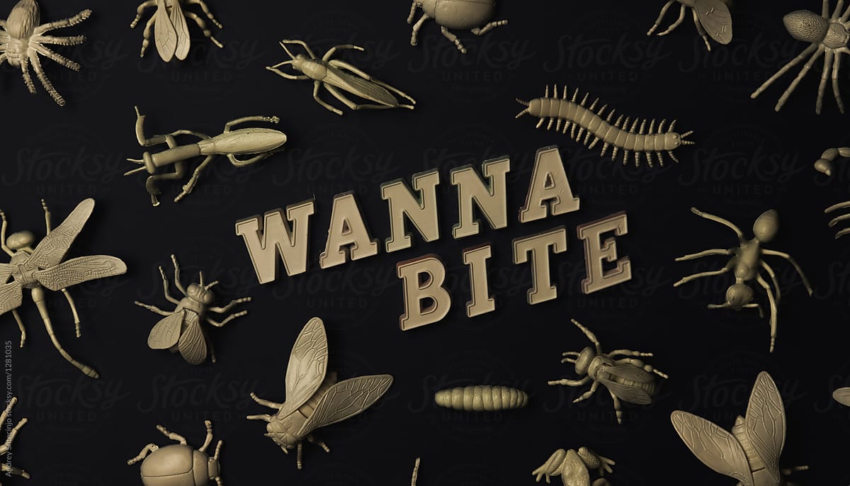Insectorium/collection of bugs/insects with text \