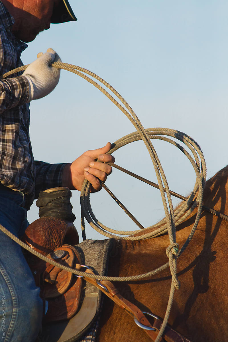 A Cowboy Holds A Coiled Rope And Loop While Sitting On Horse by