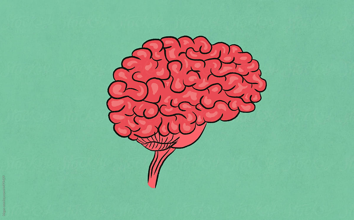 Human brain digital illustration