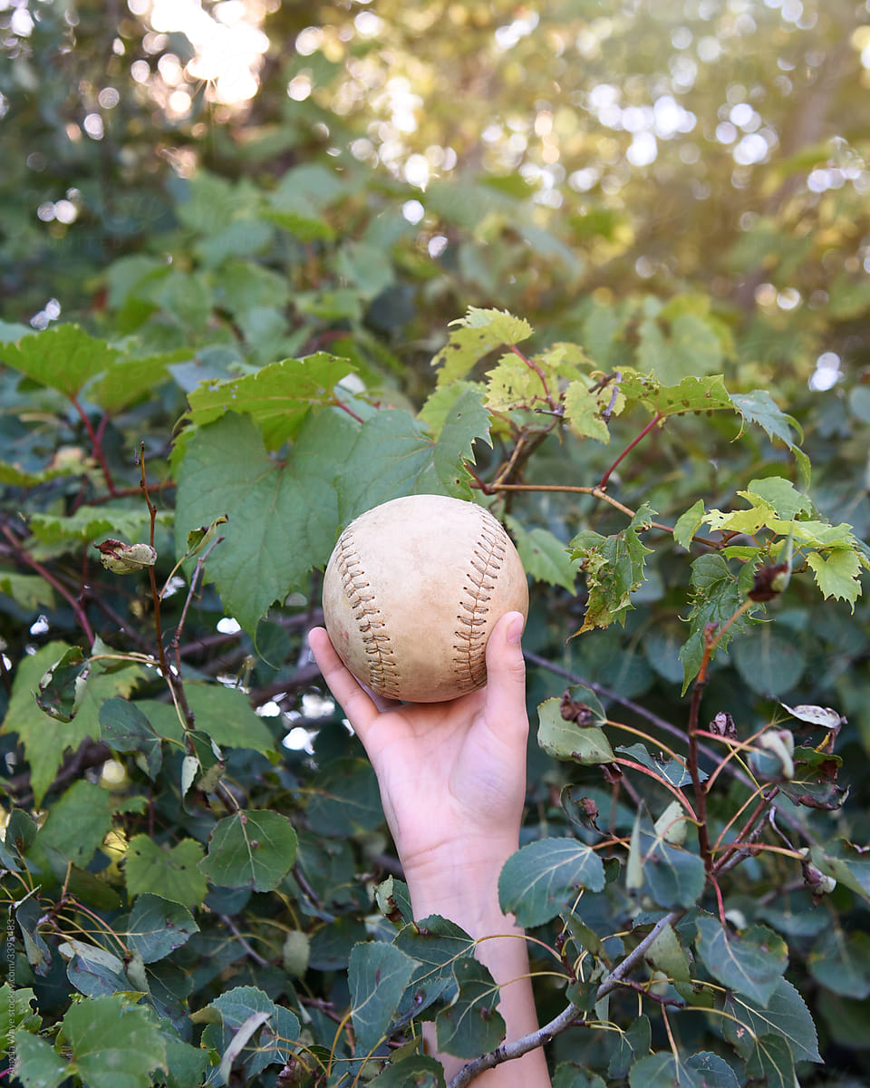 Lost and Found Baseball Outside