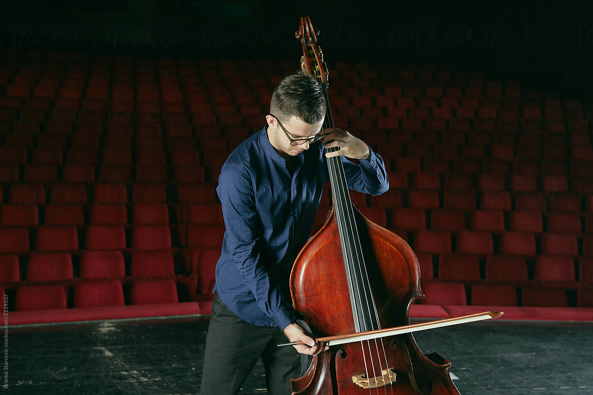 Musician playing Double bass on stage