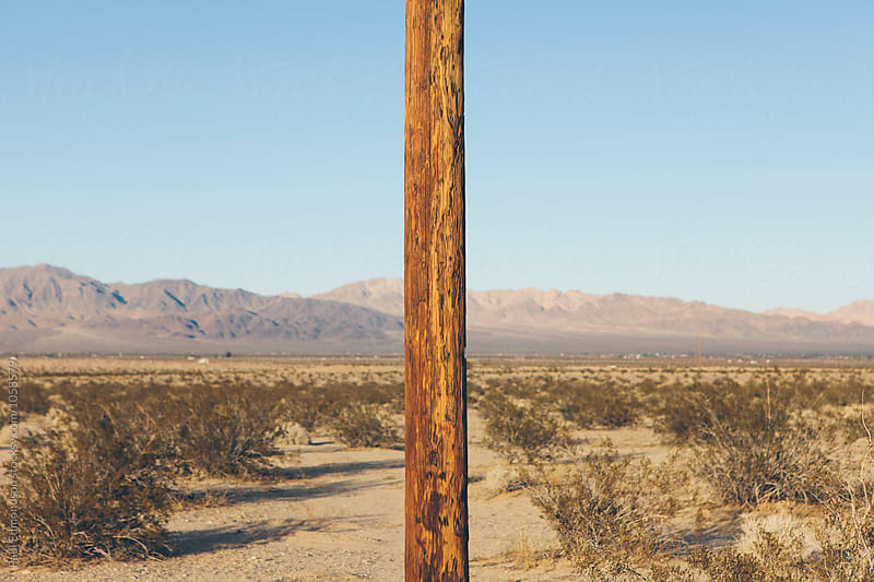 Telephone pole in Mojave Desert, Surprise Valley, CA, USA