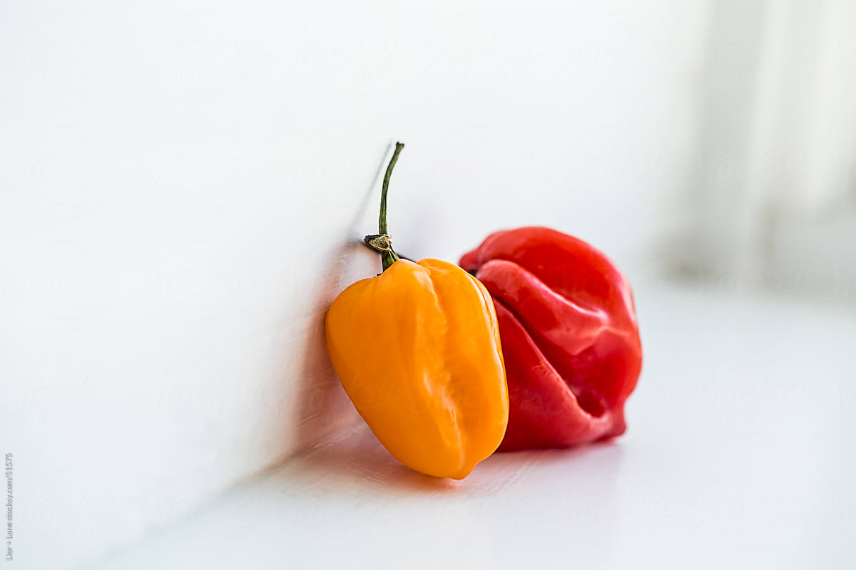 red and yellow habanero chilies leaning on wall