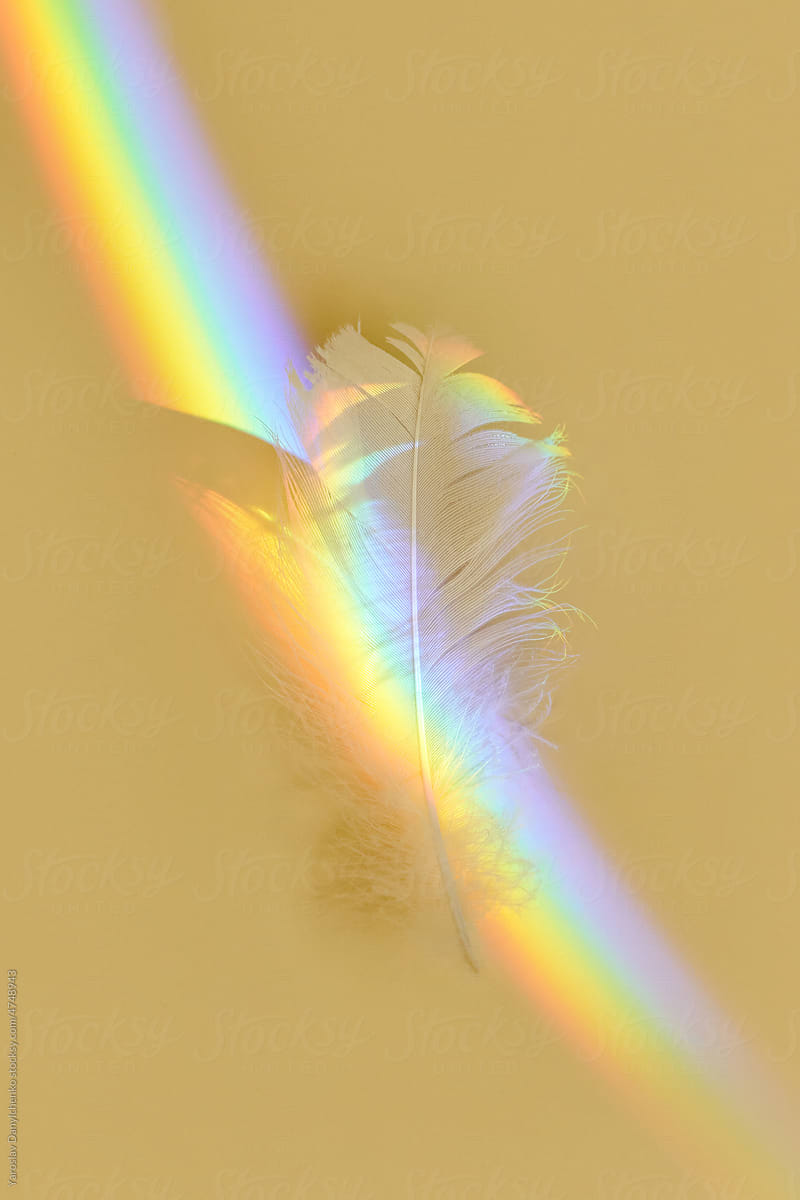 Prism rainbow effect over white feather.