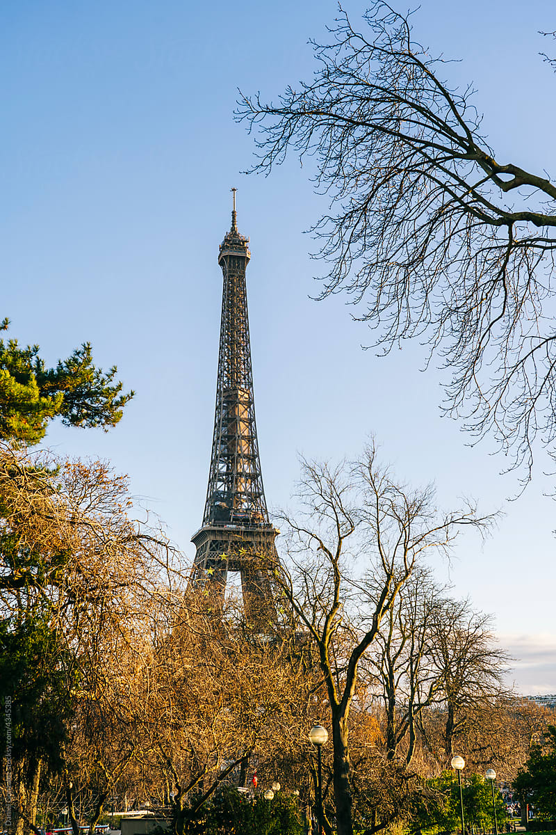 Majestic Eiffel Tower in autumn day under blue sky