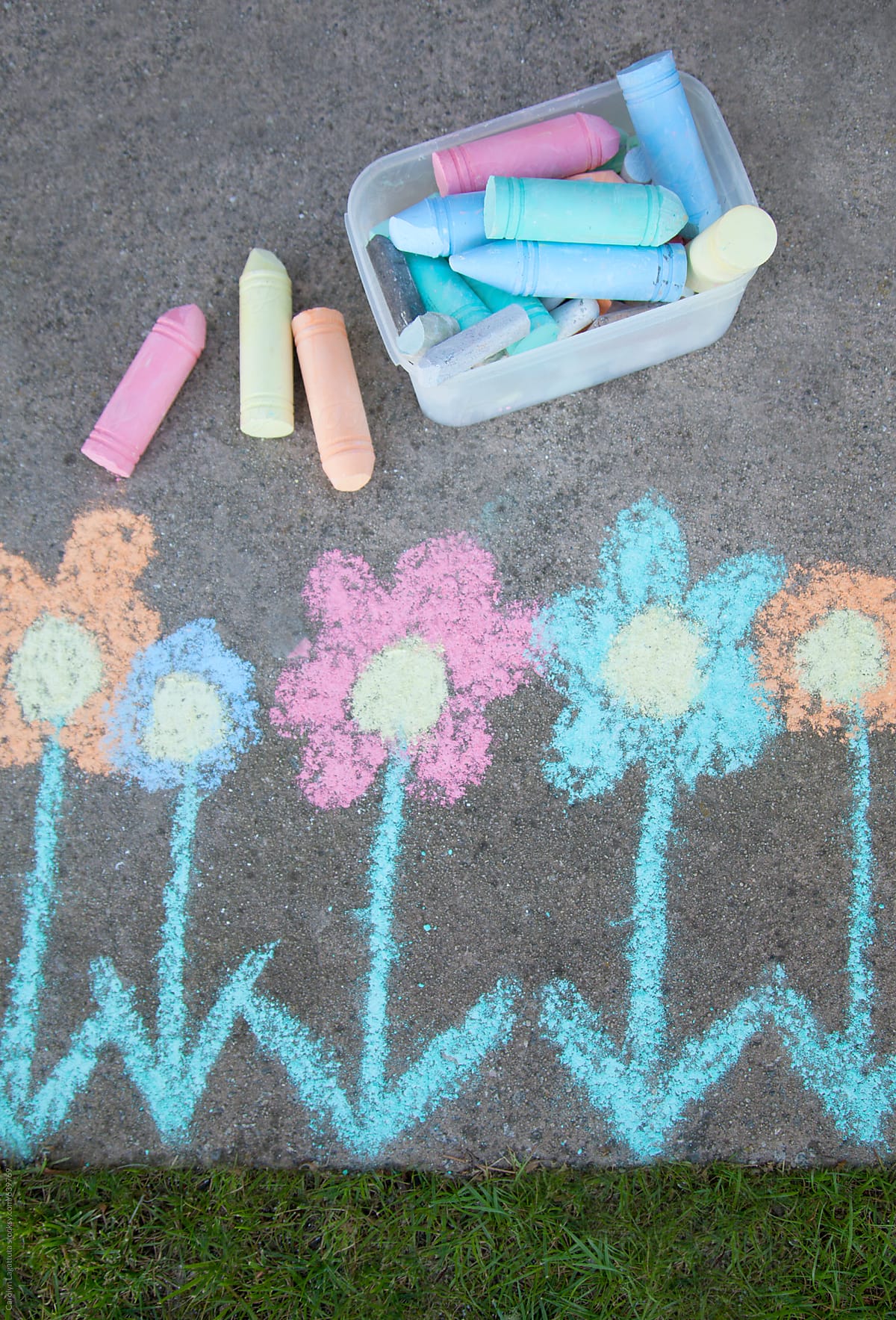 Chalk flowers drawn on pavement next to green grass
