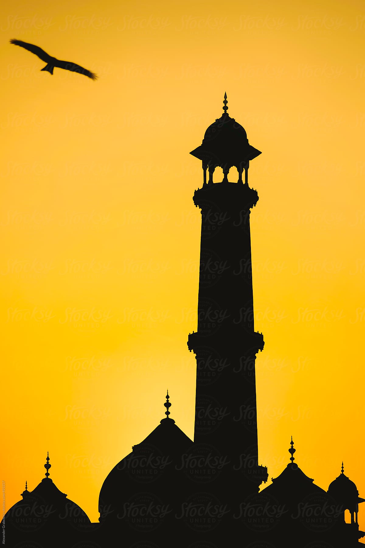 Taj Mahal Minaret