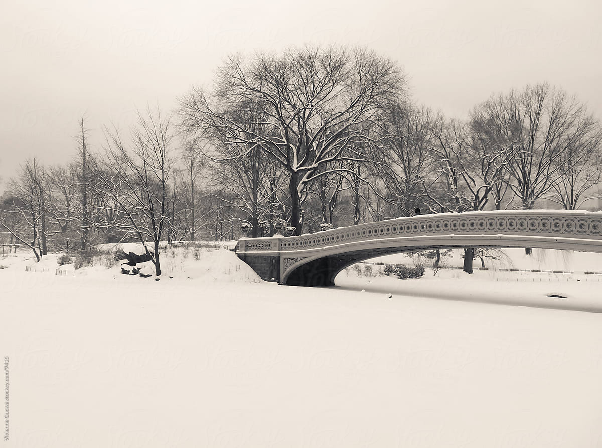 Winter Landscape - Snow Covered Bridge
