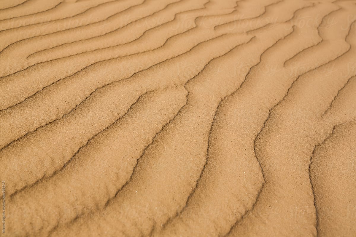 Sand in the Desert. Texture