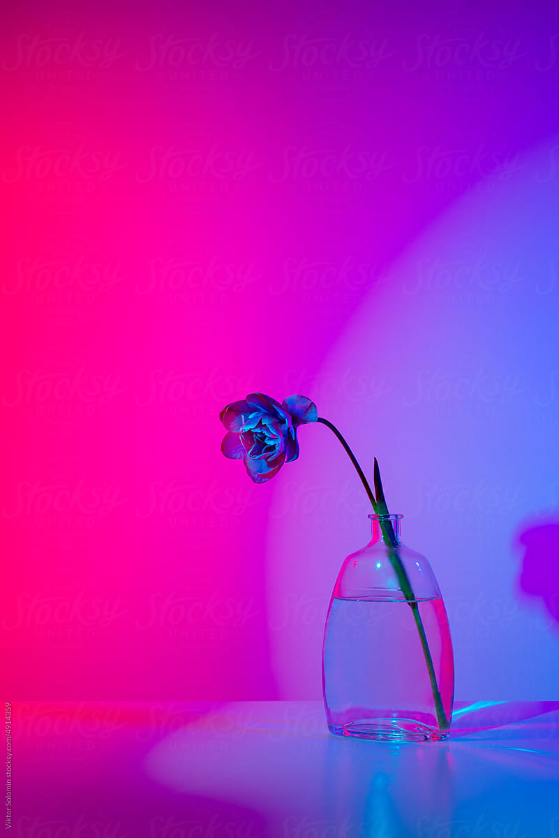 Bottle with flower and water in neon light