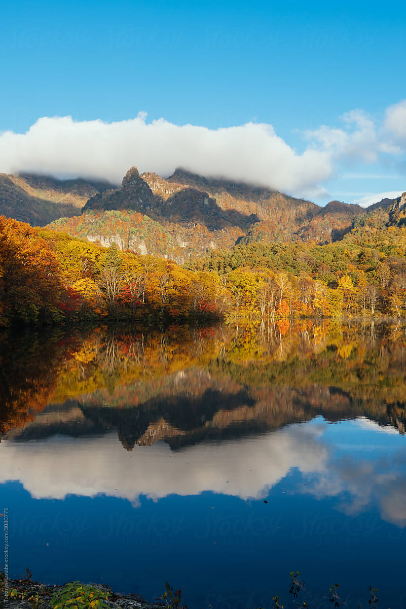 Mirror Pond Shows Beautiful Trees Turn in Red and Yellow in Autumn, Nagano Prefecture Japan
