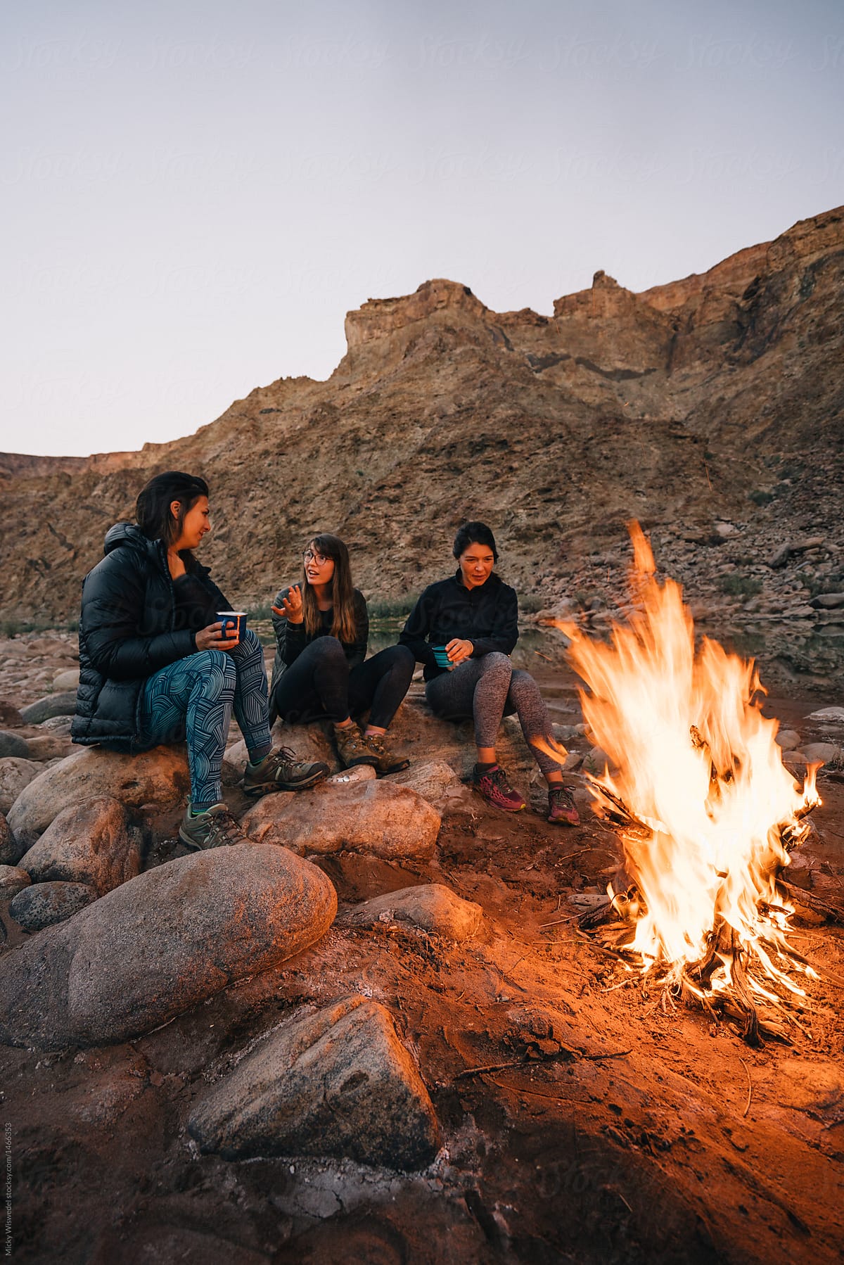 friends around outdoor campfire