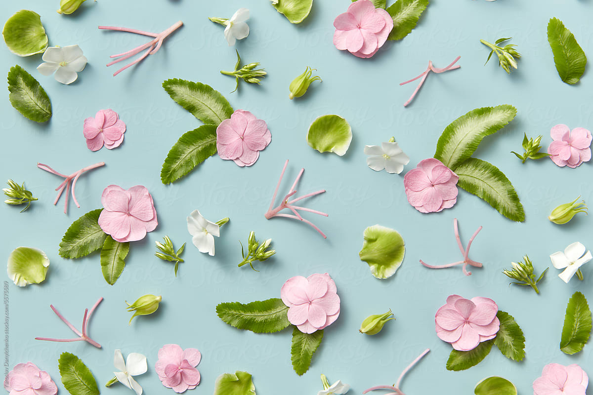 Seamless pattern of spring flowers, green leaves and petals