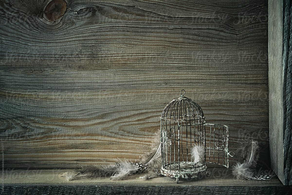 Little rusted birdcage on shelf