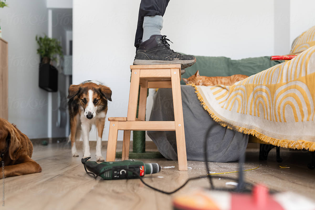 A man\'s feet on a ladder while doing home repairs.