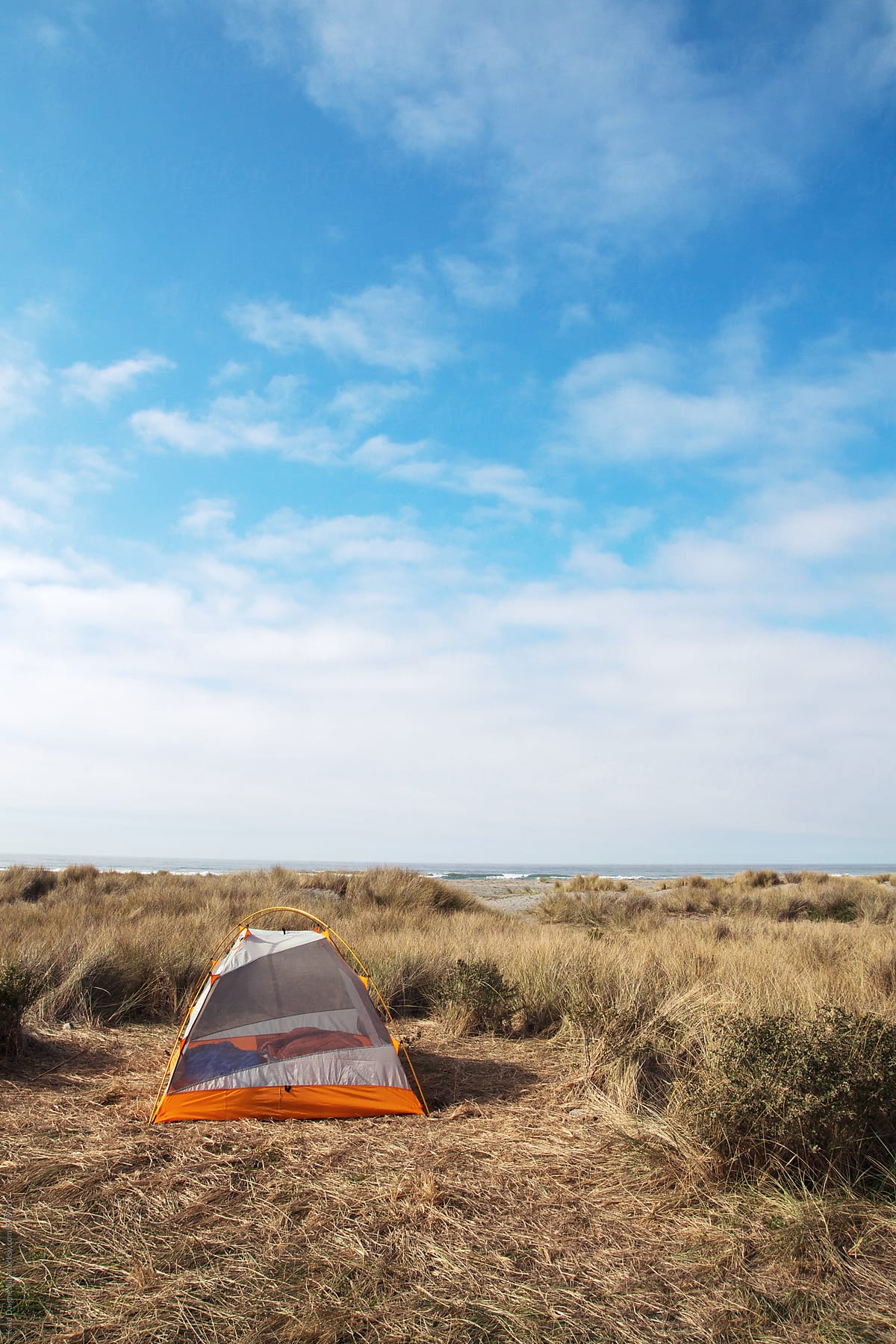 A tent set up in beach grass under a blue sky.