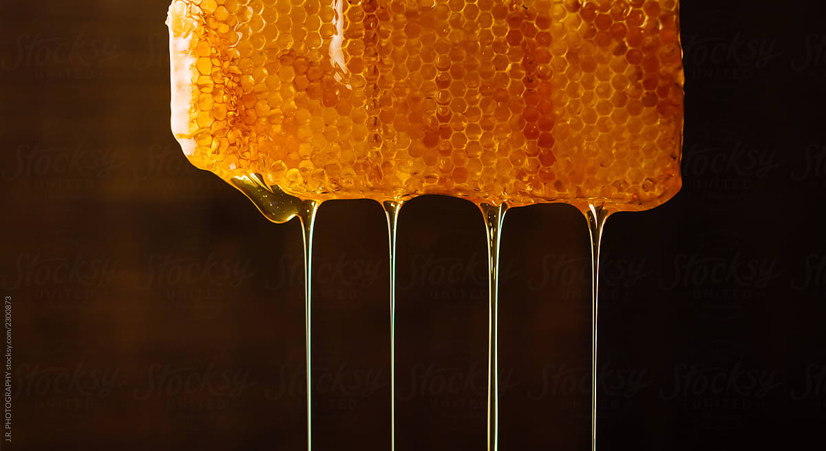 Bee honey comb wax with honey. Honey drips down