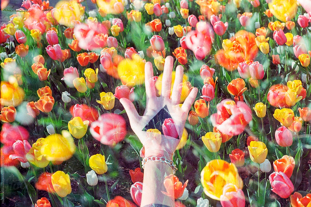hand with painted triangle on palm in colorful tulip garden